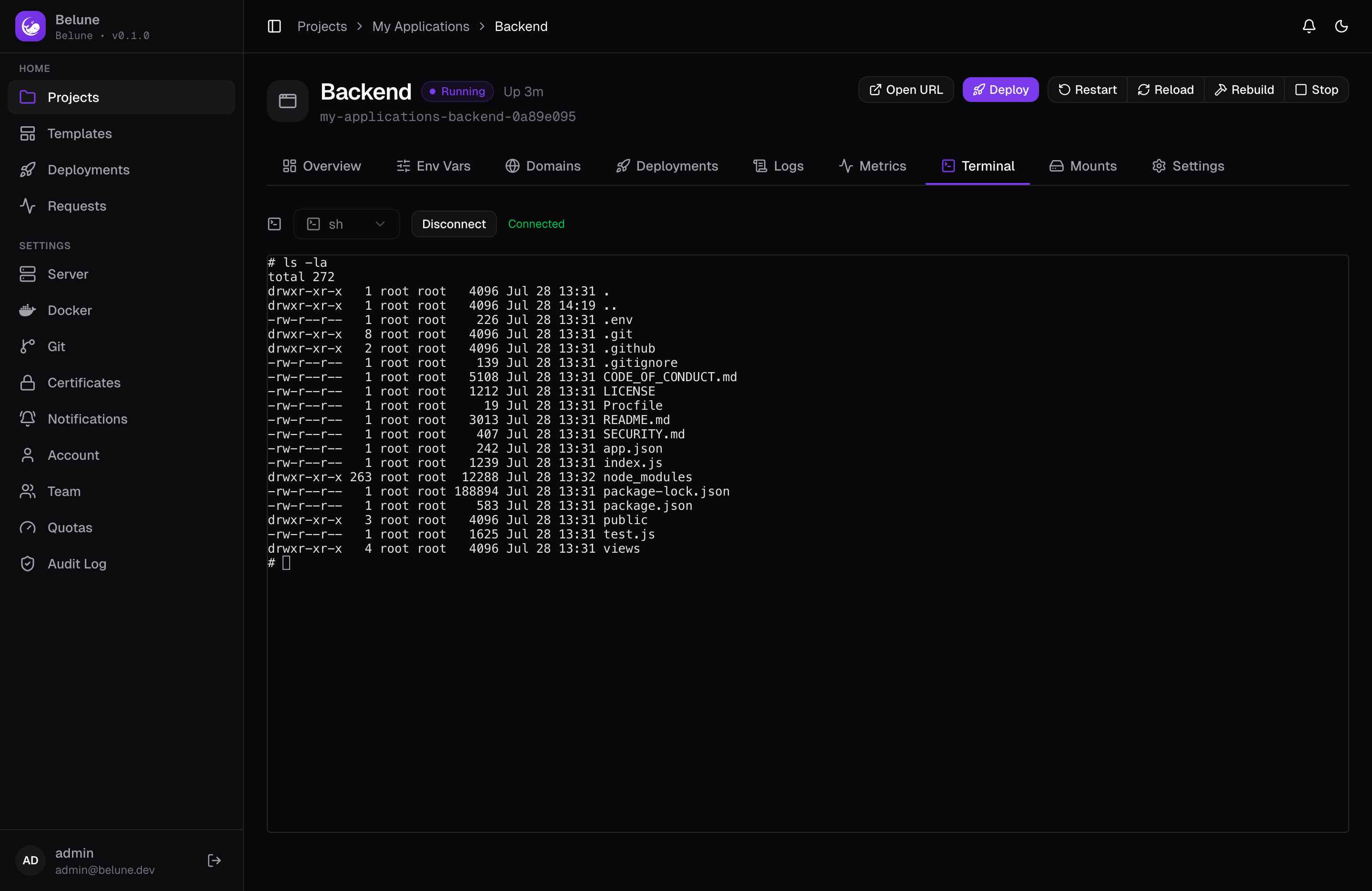An interactive shell open inside a running application container.