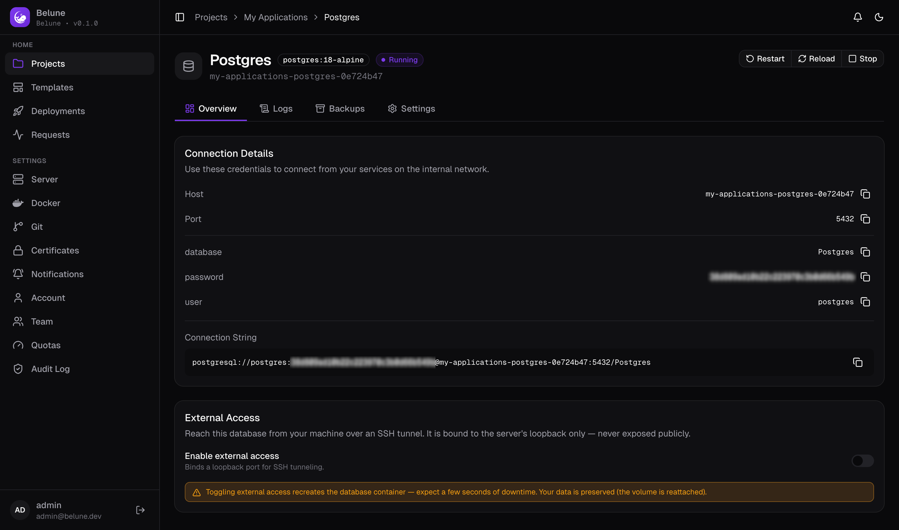 A managed database's Overview tab: connection details and external access.