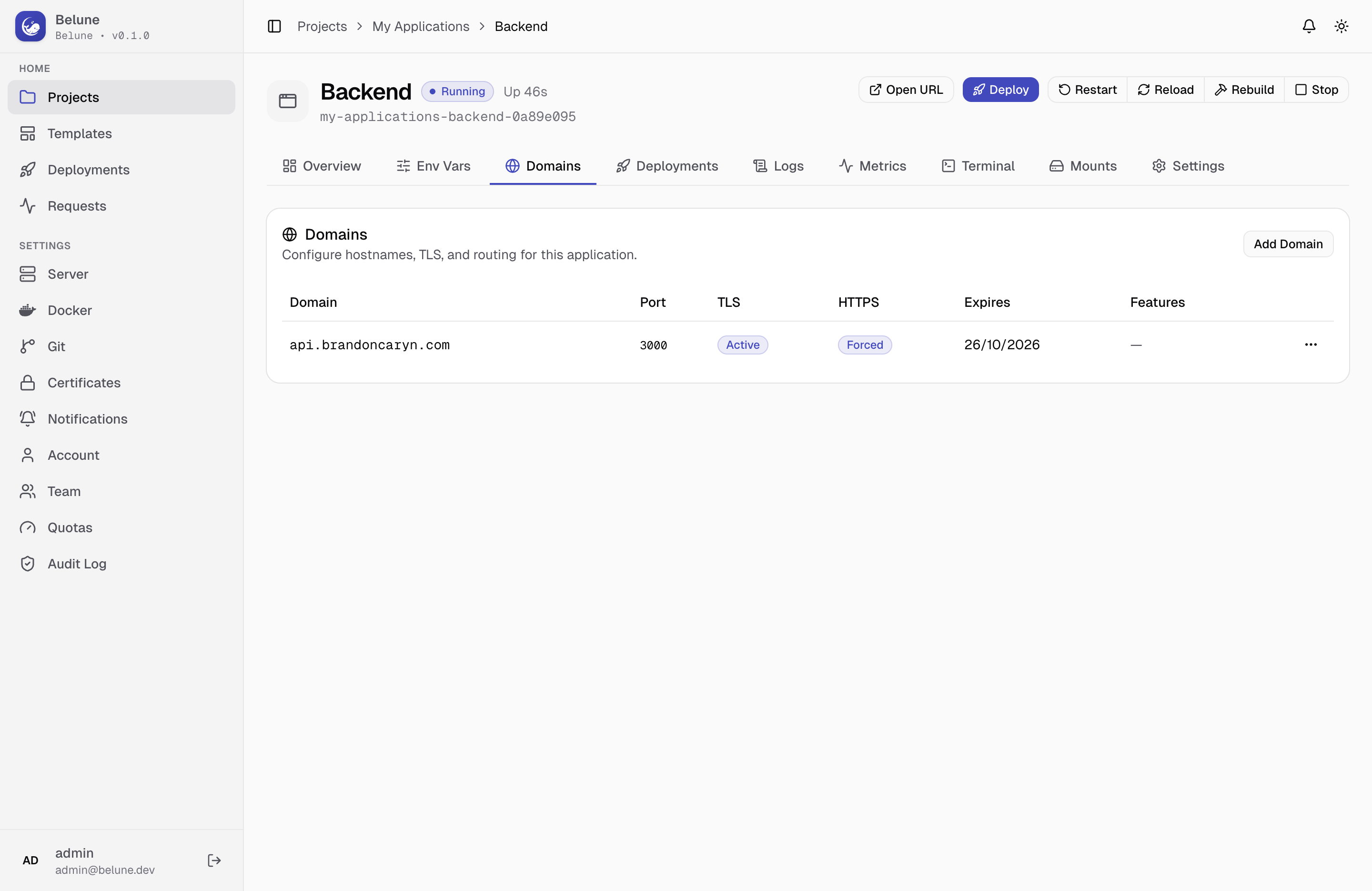 An application's Domains tab: hostname, container port, and TLS status.