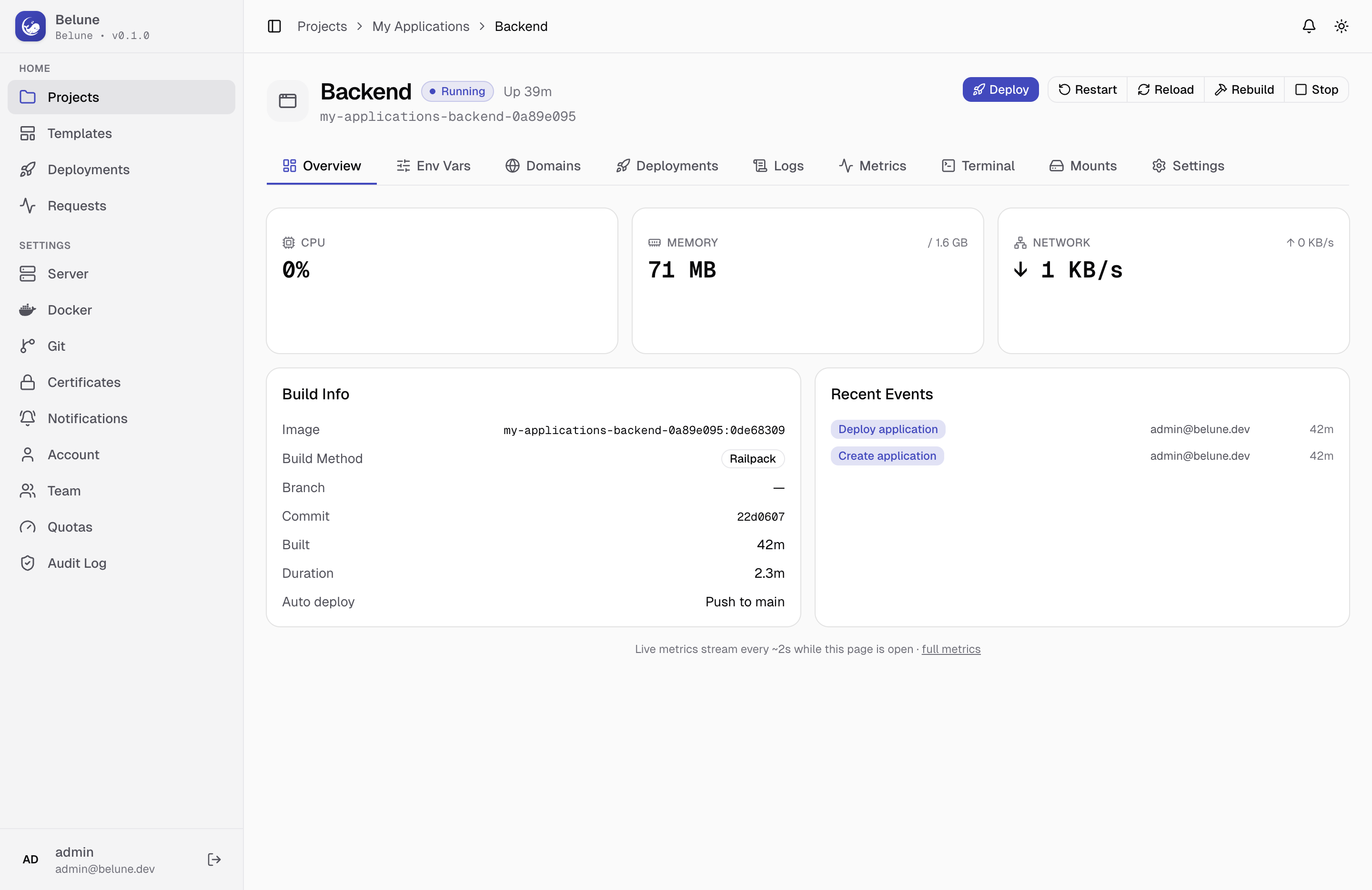 An application's Overview tab: status, image, and recent activity.