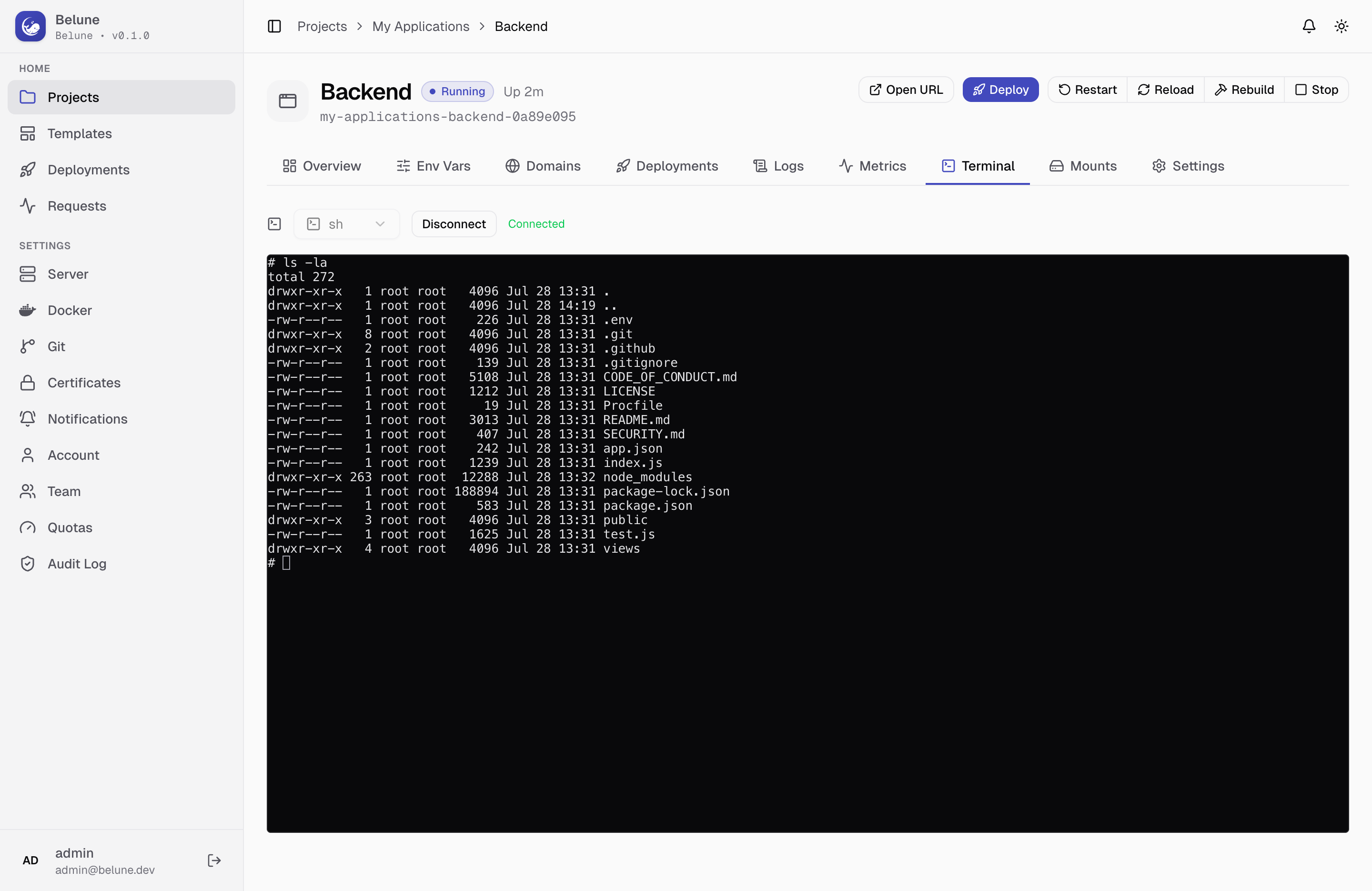 An interactive shell open inside a running application container.